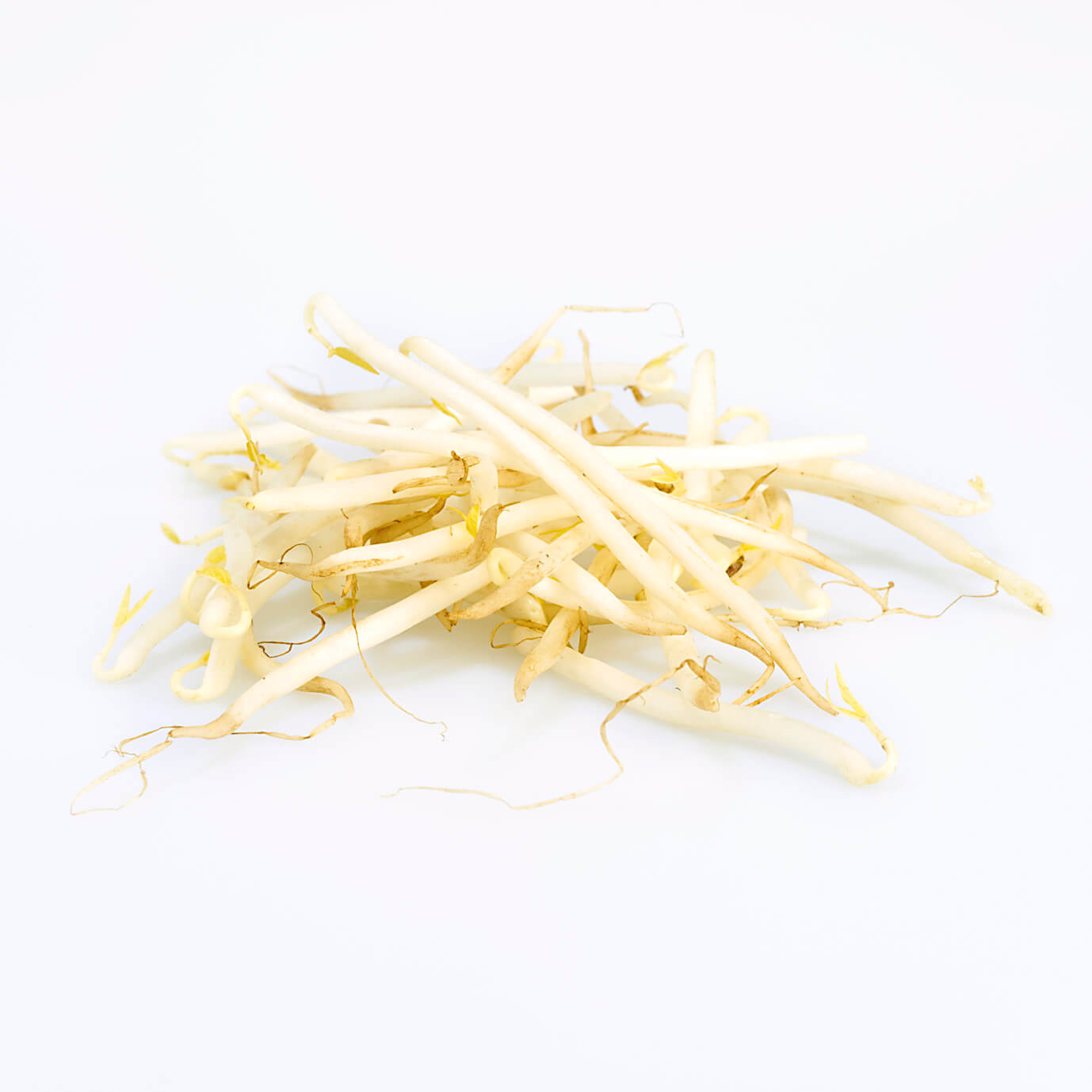 Sprossen